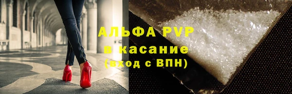 прущие грибы Покров