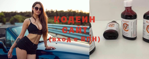 прущие грибы Покров